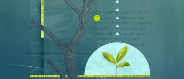 3-Things-about-Zephaniah