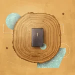 How-to-Read-Wisdom-Literature