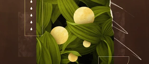 Discipleship in the family