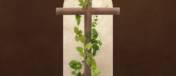 How-Is-Jesus-the-True-Vine