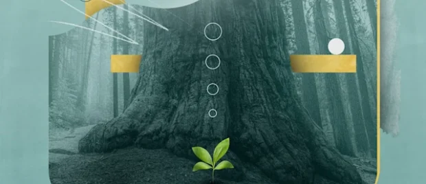 How Can I Be a Godly Father?