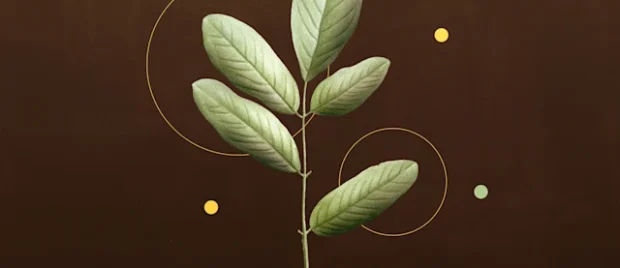 How Should I Engage My Rebellious Child