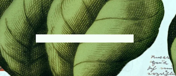 War and Peace with a Holy God