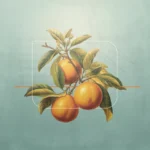 What Is the Fruit of the Spirit